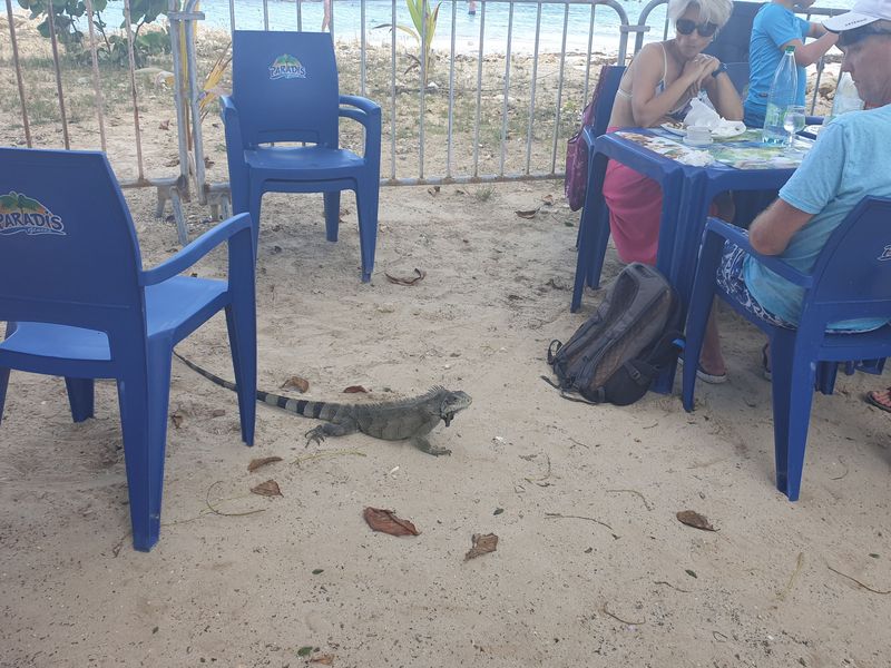 plage-des-raisins-clairs_11