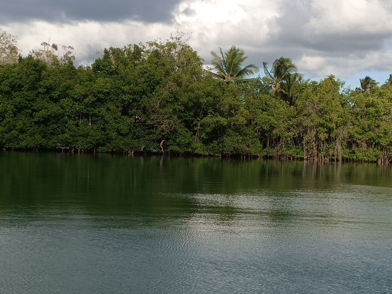 entre-lile-fajou-et-la-barriere-de-corail_23