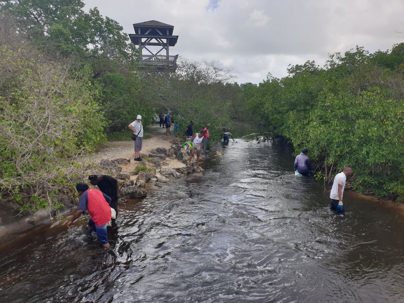 les-pecheurs-de-crabe-a-port-louis_6
