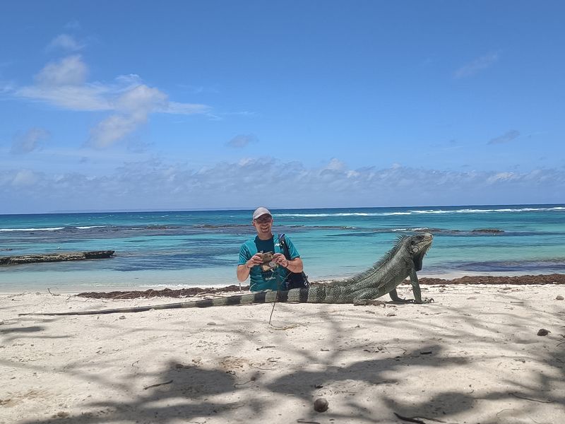 plage-des-raisins-clairs_4