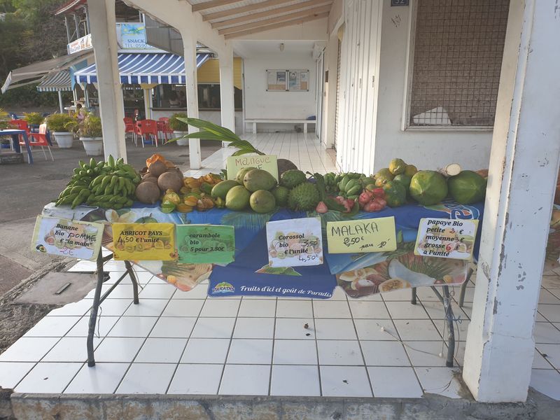 retour-des-saintes_5