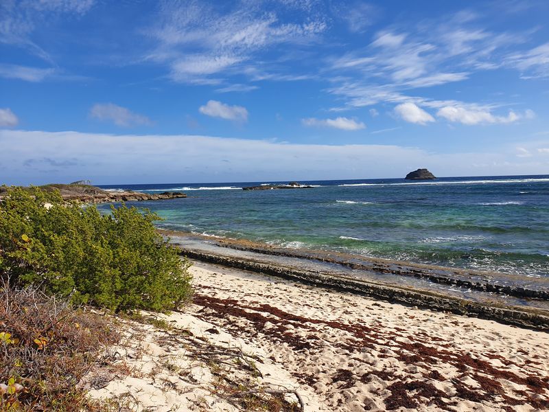 sentier-de-la-pointe-des-chateaux-a-lanse-de-la-gourde_12