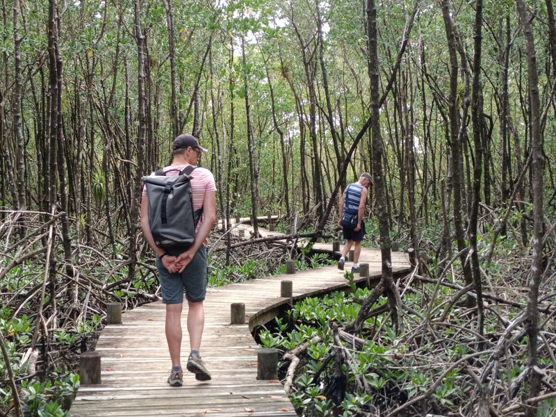la-mangrove-de-port-louis_2