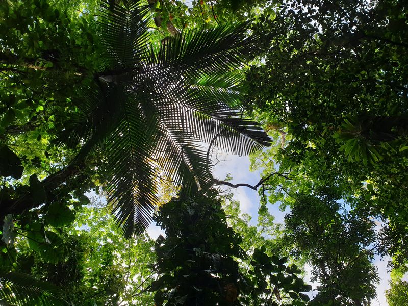 3-eme-chute-du-carbet_3