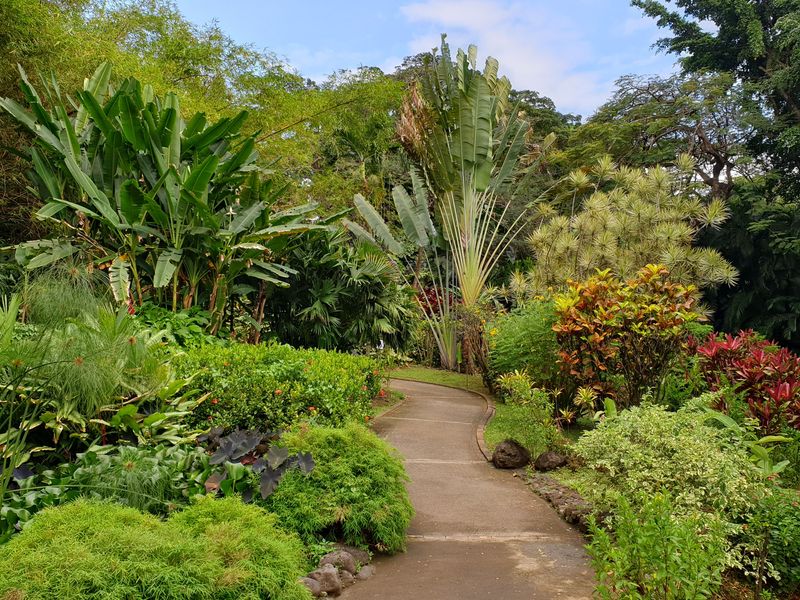 jardin-botanique-coluche-de-deshaies_20