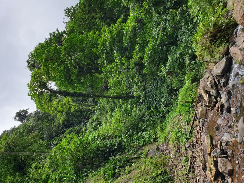 les-chutes-moreau_11