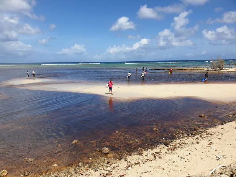 les-pecheurs-de-crabe-a-port-louis_9