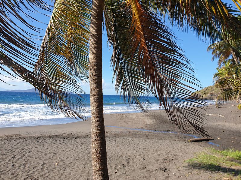 plage-de-grande-anse