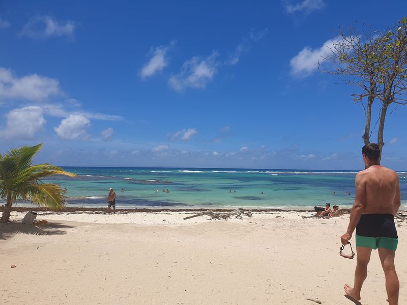 plage-des-raisins-clairs_7