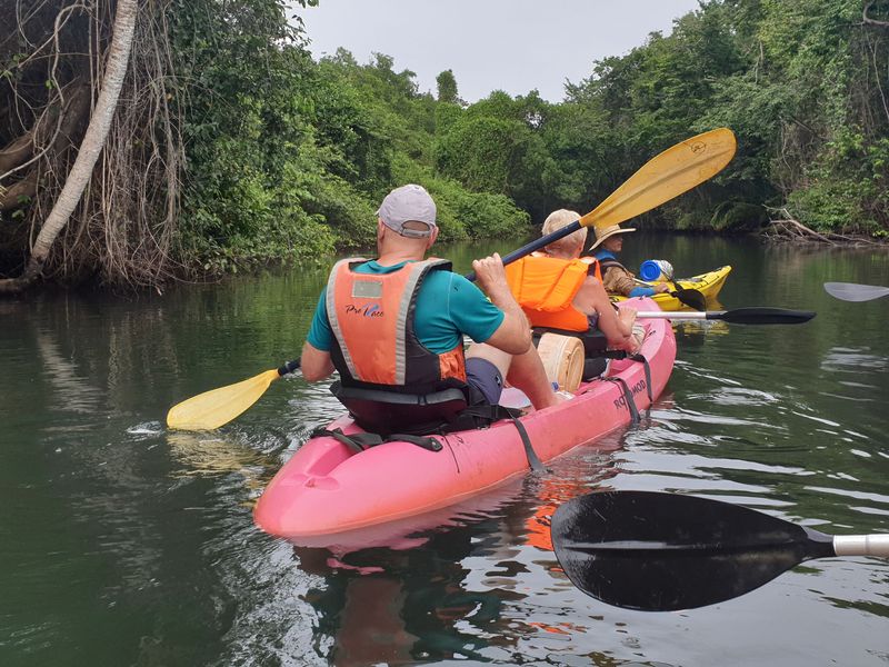 kayak-dans-la-mangrove_8